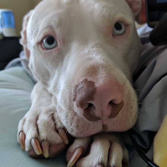 Meet your Posher, Beth - Picture 4 of 6